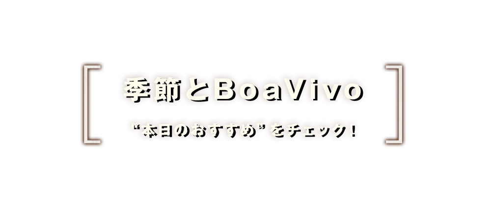 本日のおすすめ