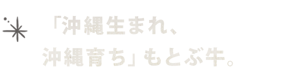 「沖縄生まれ、沖縄育ち」もとぶ牛。